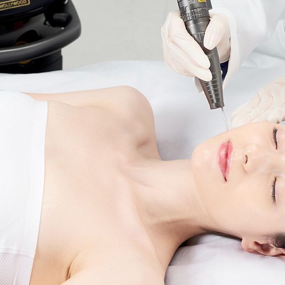 holly_img_1_56700d1a29